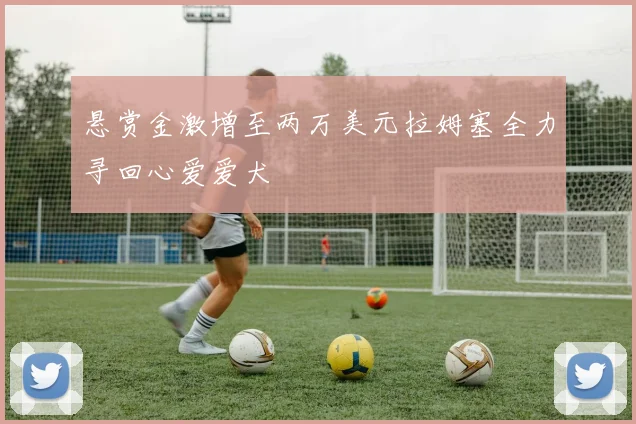 悬赏金激增至两万美元拉姆塞全力寻回心爱爱犬